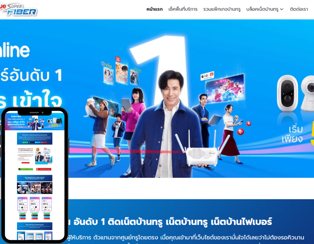 ตัวอย่างเว็บไซต์ (16)