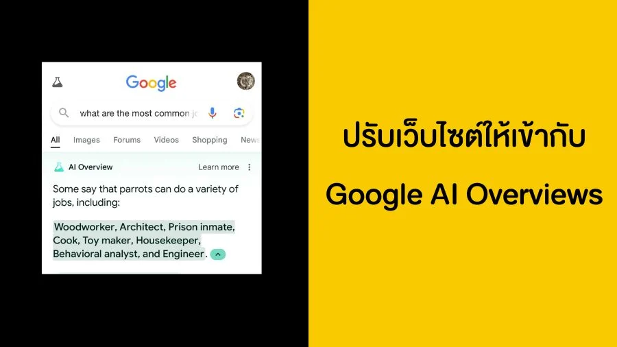 ปรับเว็บไซต์ให้เข้ากับ Google AI Overviews (2)