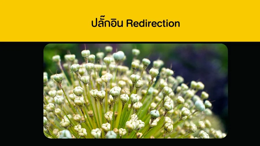 ปลั๊กอิน Redirection