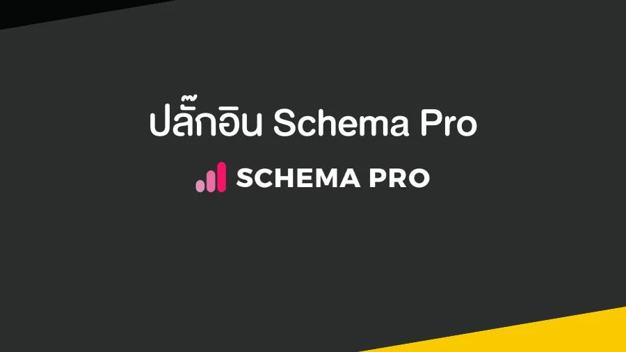 ปลั๊กอิน Schema Pro