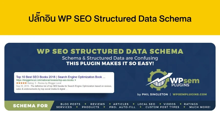 ปลั๊กอิน WP SEO Structured Data Schema