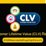 Customer Lifetime Value (CLV)